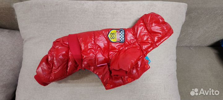 Одежда для собак мелких пород