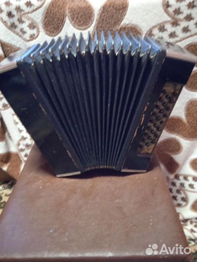 Гармонь любительская