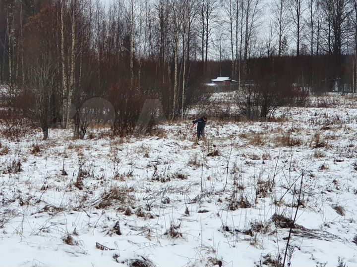 Участок 10 сот. (СНТ, ДНП)