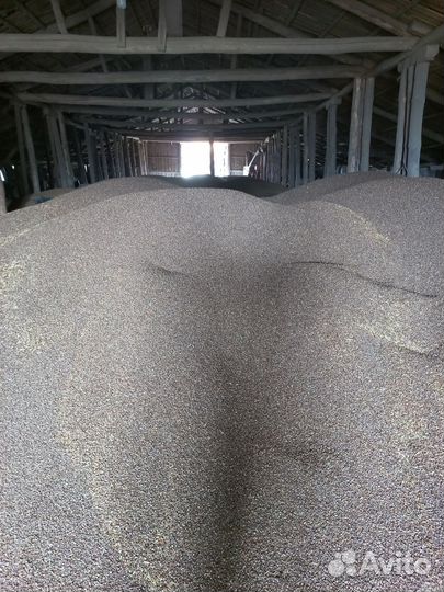 Продам гречиху