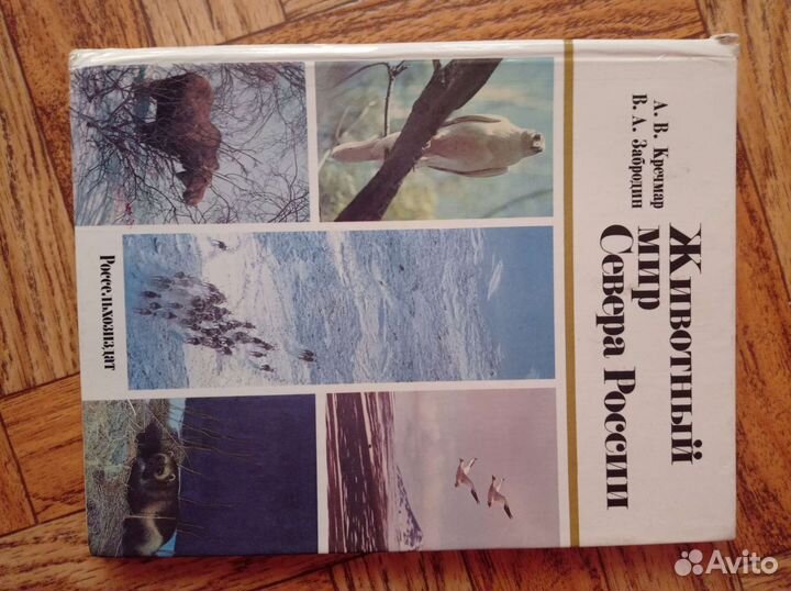 Животный мир севера России книга