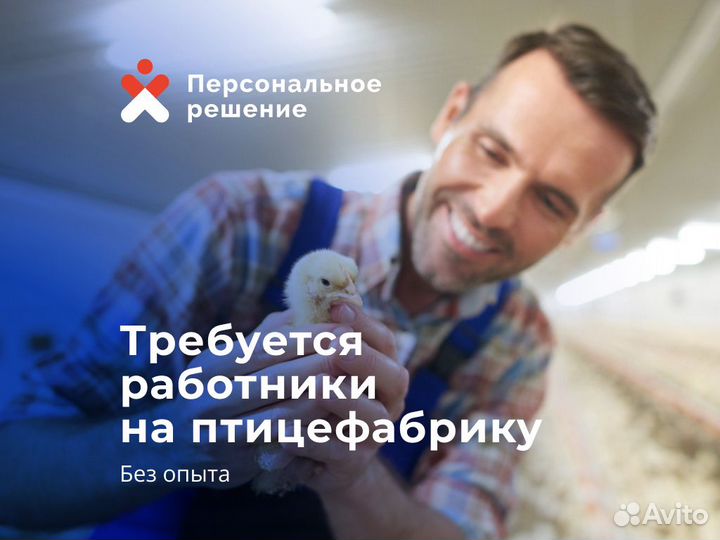 Разнорабочий на птицефабрику. Ежедневные выплаты