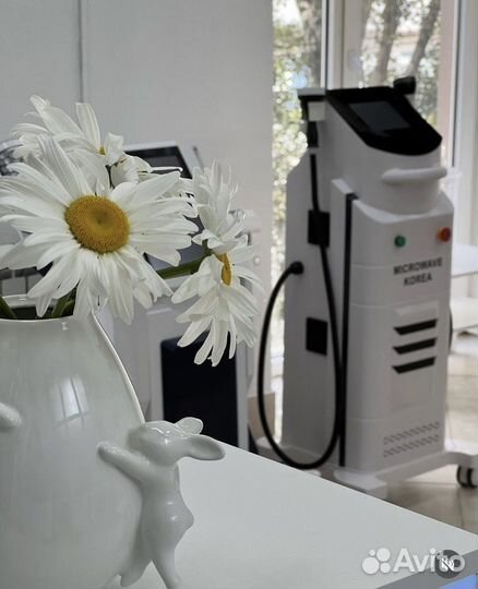 Массаж аппаратный. EMS sculpt