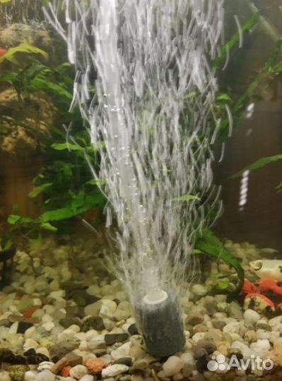 Компрессор+шланг3м+4присоски+2камня