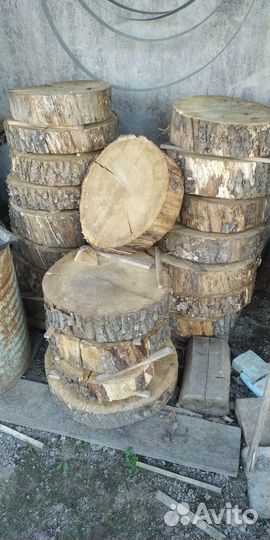 Дубовый спил