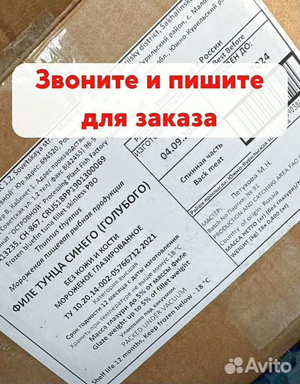 Кета свежемороженая