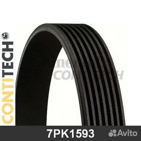Поликлиновой ремень 7PK1593 contitech