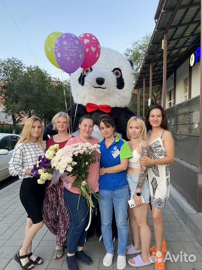 Ростовая кукла Панда 2,6 м, медведь поздравление