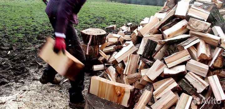 Дрова в СПБ