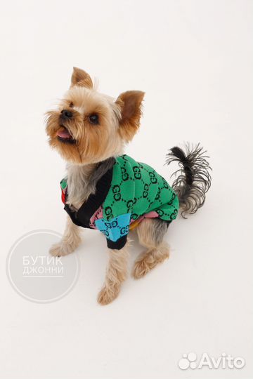 Кофта для собак Gucci