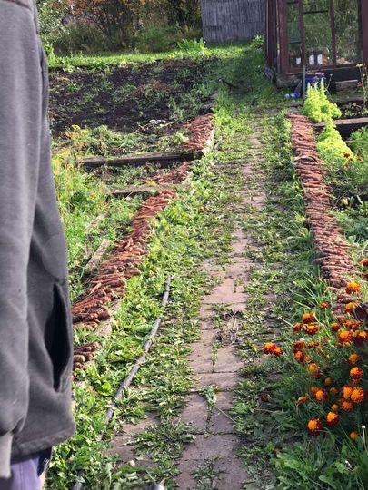 Дача 10 м² на участке 9 сот.