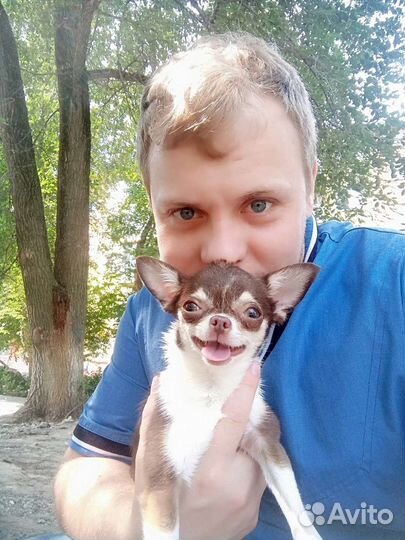 Опытн. ветеринар на дом.Также работаю с агресс.жив