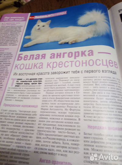 Журнал Лиза