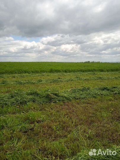 Травяные гранулы