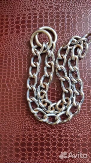 Строгий ошейник