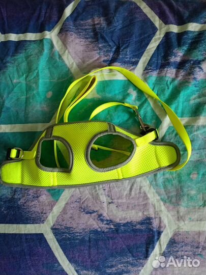 Шлейка для маленькой собаки