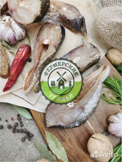 Рыба северная Язь Щука Щекур Мохтик Лещ Сырок