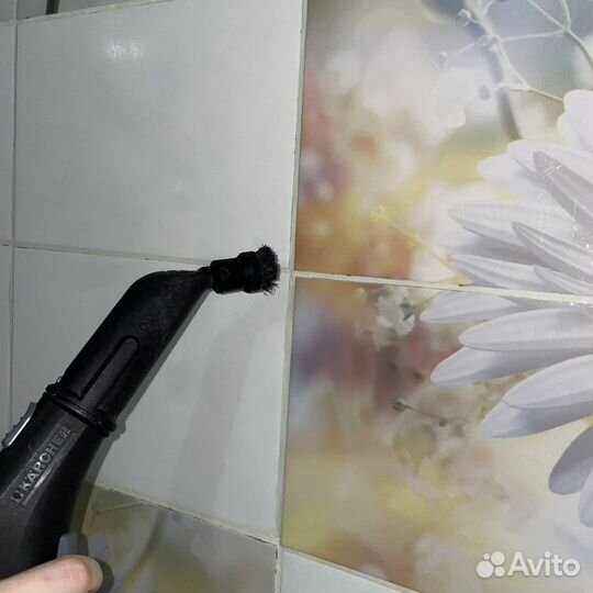 Пароочиститель karcher аренда