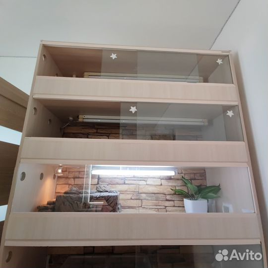 Передержка рептилий (змеи, ящерицы)