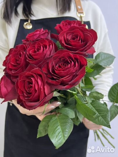 Роза 9 шт