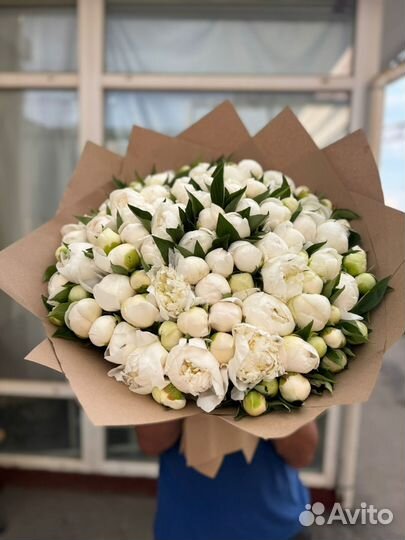 Пионы Пионы с доставкой Доставка цветов