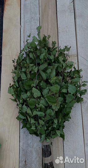 Веники для бани береза черемуха зверобой