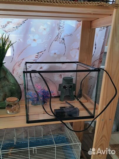 Продам аквариум 10л,домик,фильтр,камни