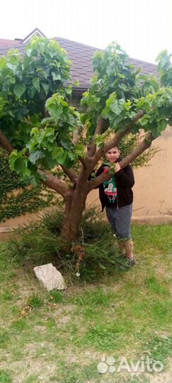 Няня на день/на час