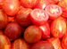 Рассада помидор, томатов