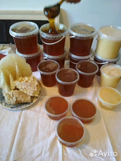 Мёд с домашней пасеки