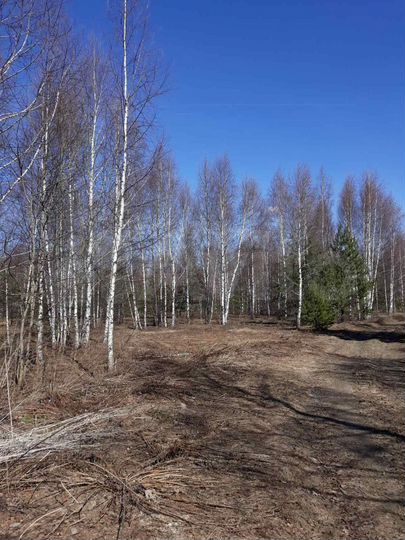 Участок 10 сот. (ИЖС)