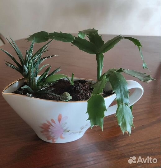 Подарок к любому празднику