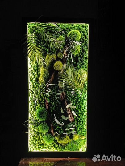 Панно из мха с подсветкой 120*60см