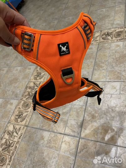 Аксесуары для собак