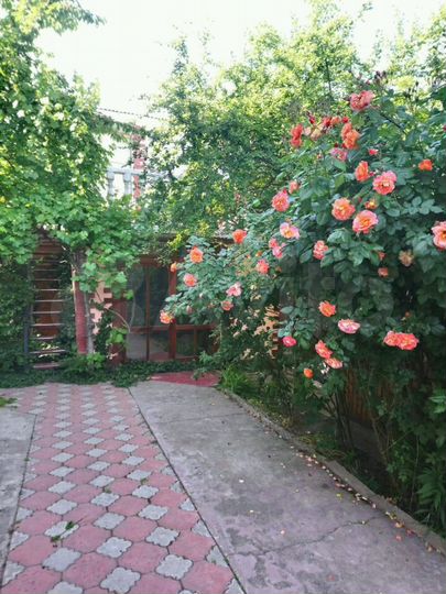 Комната 14 м², 1/2 эт.