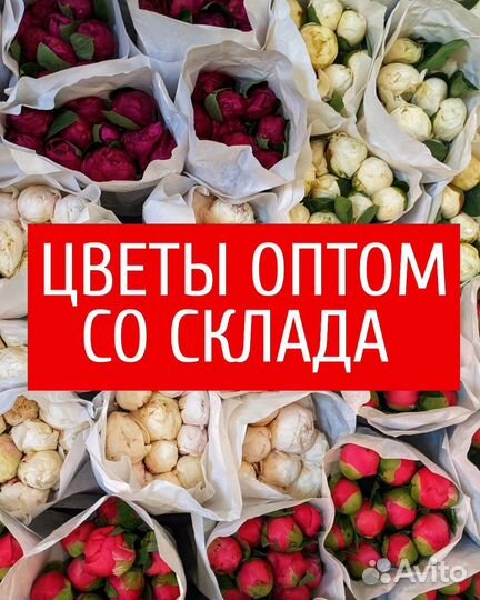 Розы оптом цветы с доставкой кустовые розы