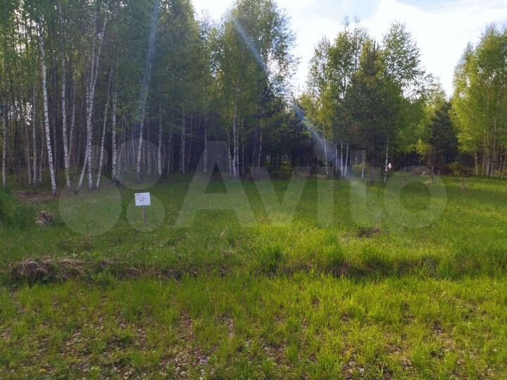 Участок 15 сот. (СНТ, ДНП)