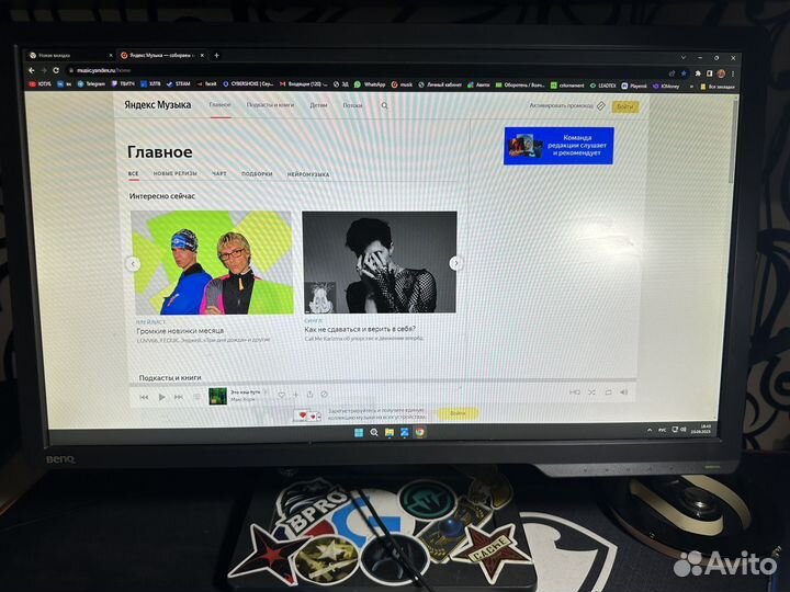 Монитор 144 гц benq zowie xl2411p