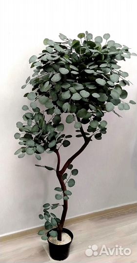 Искусственное дерево, цветок Эвкалипт