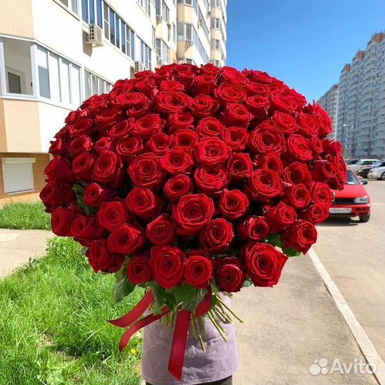 101 роза Букет метровая