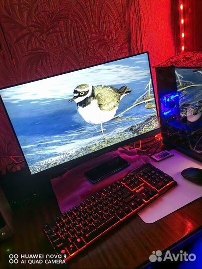 Монитор 24 дюйма 100гц