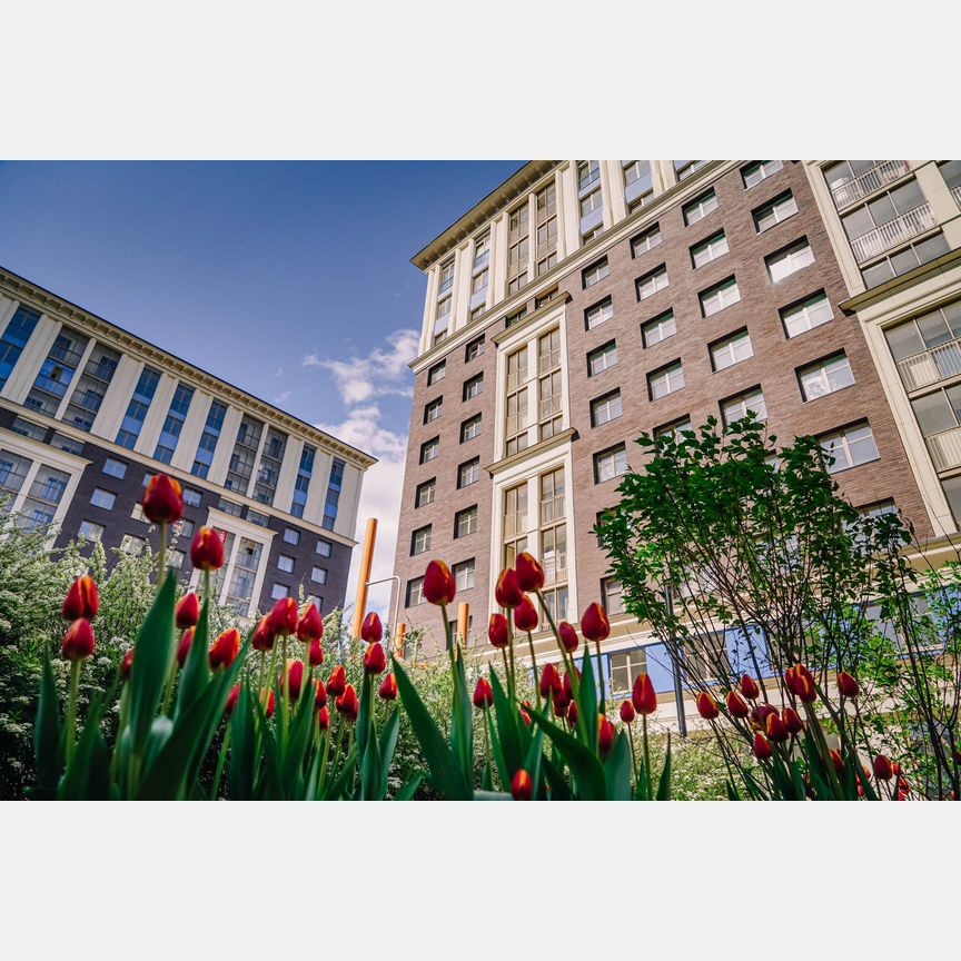 2-к. квартира, 61,9 м², 6/12 эт.