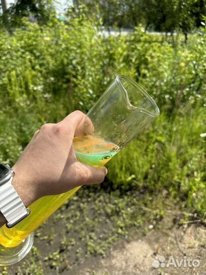 Дизельное топливо Сорт Е