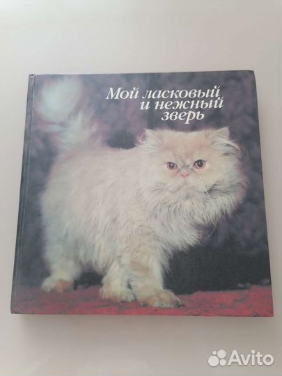 Книги - альбомы про кошек и собак