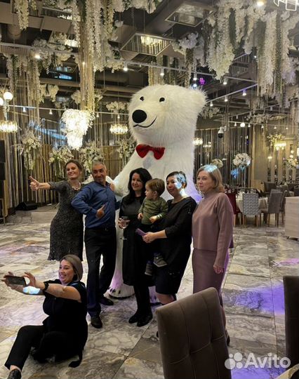 Белый мишка поздравление, медведь на праздник