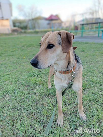 Меня предали