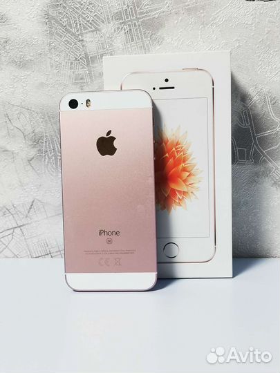 iPhone SE