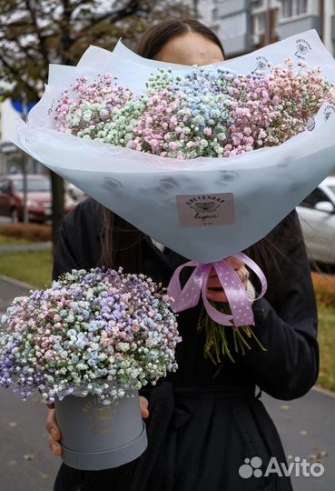 Гипсофила радужная