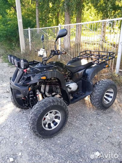 Tiger sport 250