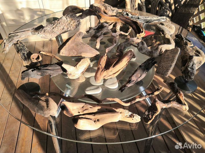 Морские коряги, seawood, плавник, дерево